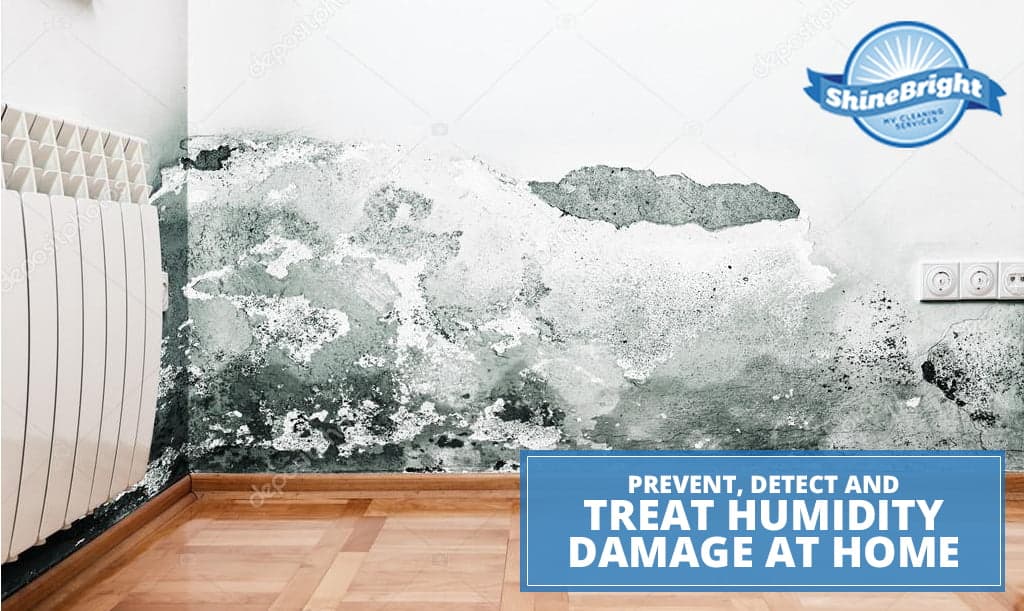 Prevent, Detect and Treat Humidity Damage at Home